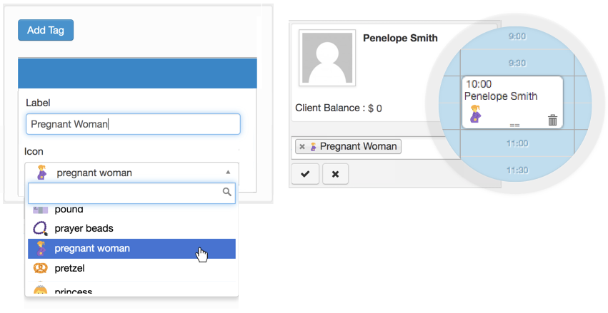 Labelling a client, adding an icon, and seeing it appear on the appointment in the schedule